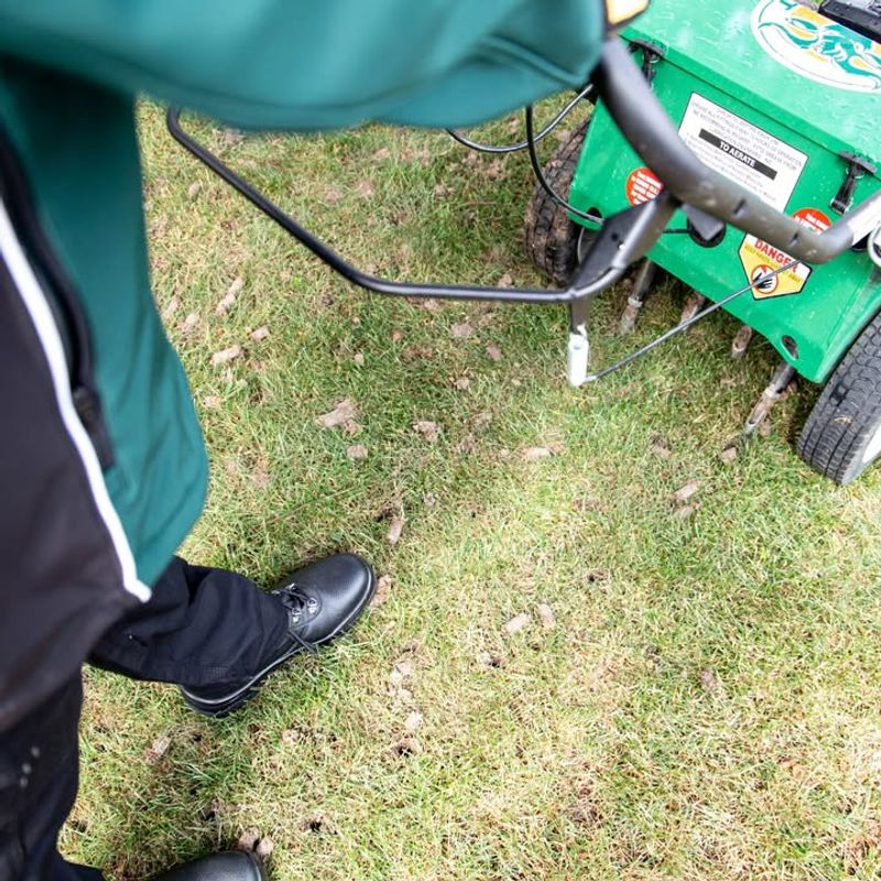 Raise Your Mower Blade Height