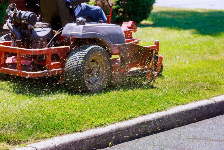 lawn mowing (featured image)