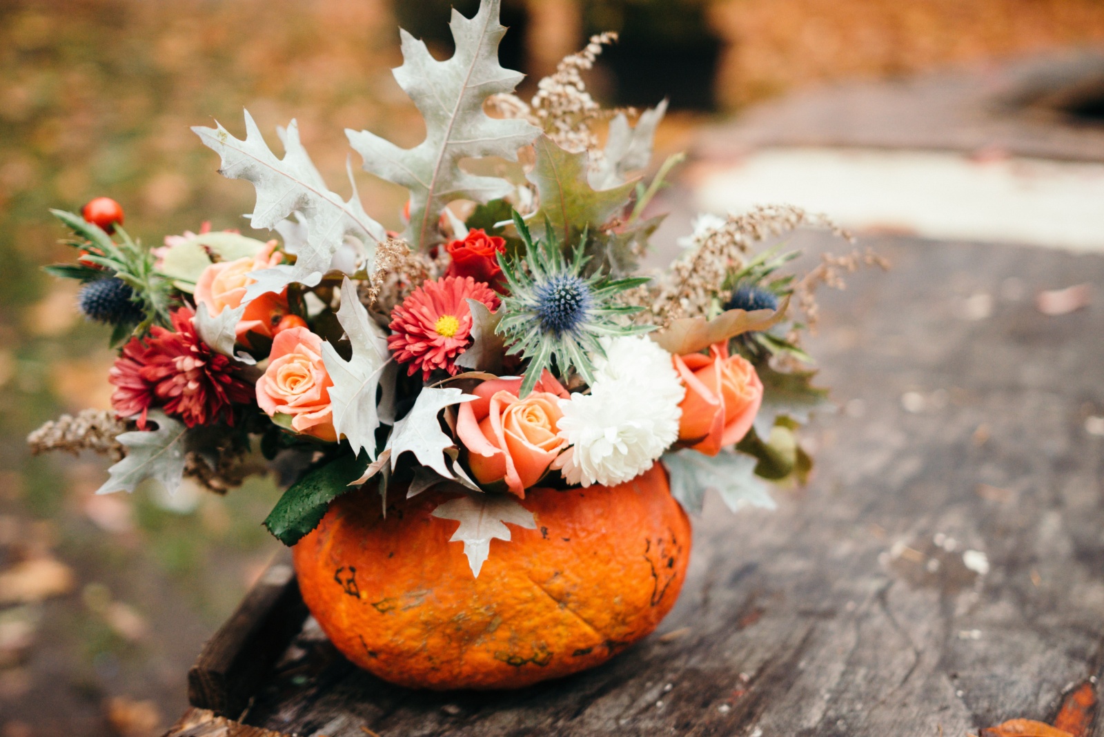 10 Stunning Pumpkin Flower Arrangements Pennsylvania Gardeners Will Love This Fall