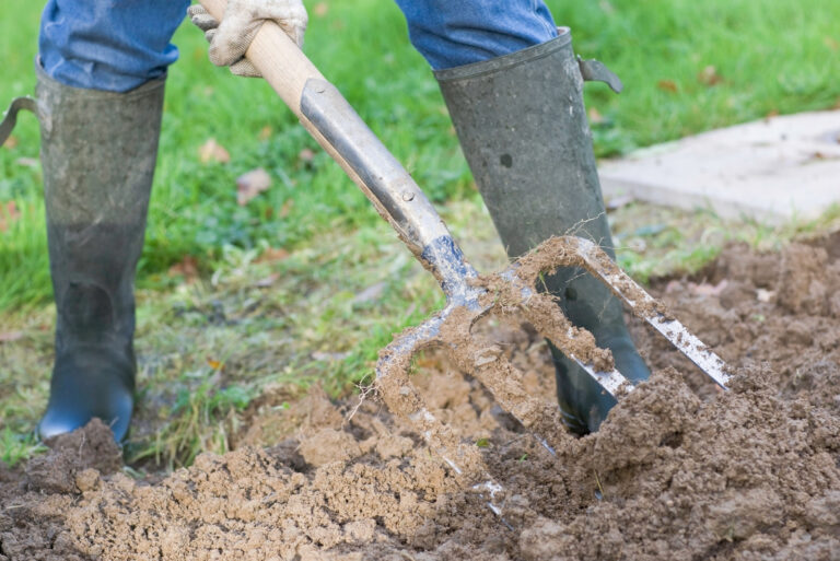 preparing soil for planting (featured image)