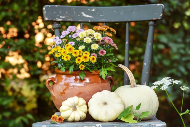 Rustic autumn arrangement with colorful chrysanthemums