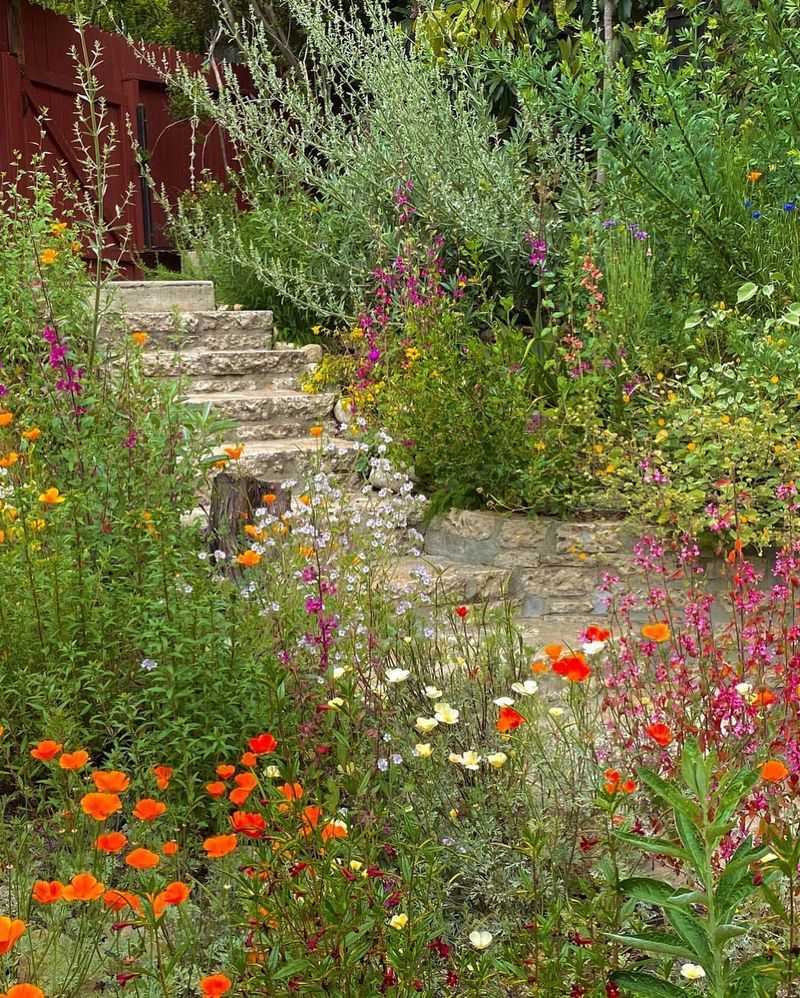 Native Plant Gardens
