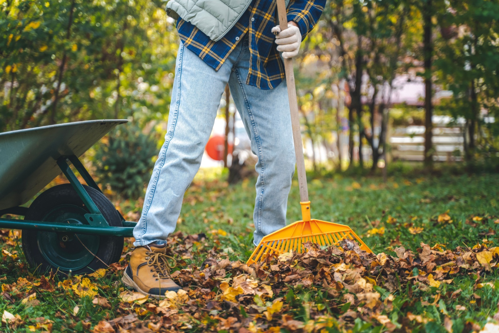 11 Essential Gardening Tasks For November In Ohio