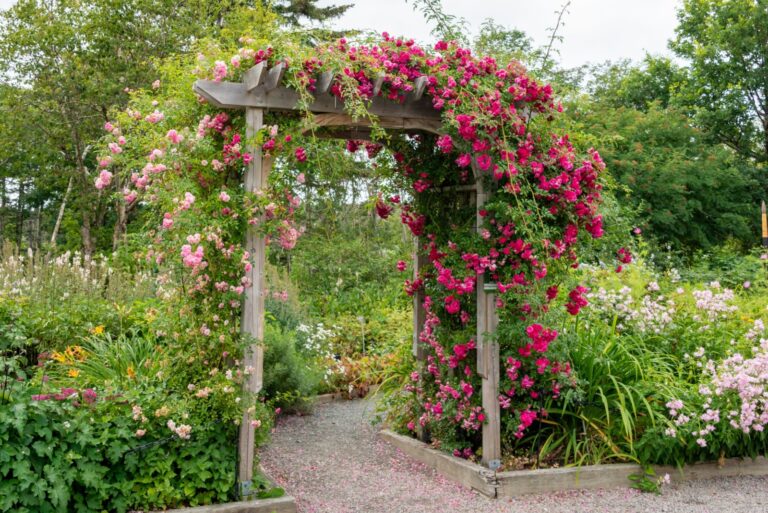 garden arbor with flowers