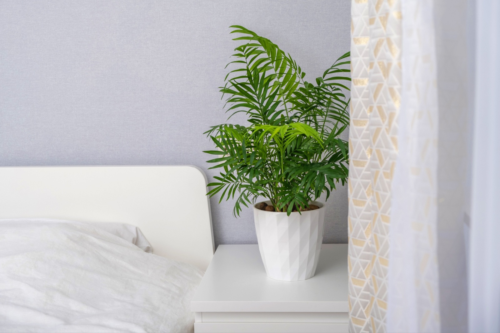12 Best Plants For Kentucky Rooms Without Windows