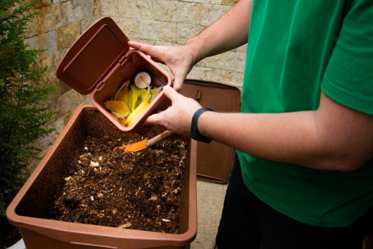 composting and compost in the garden