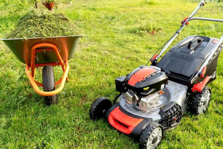 lawnmower on mowed lawn