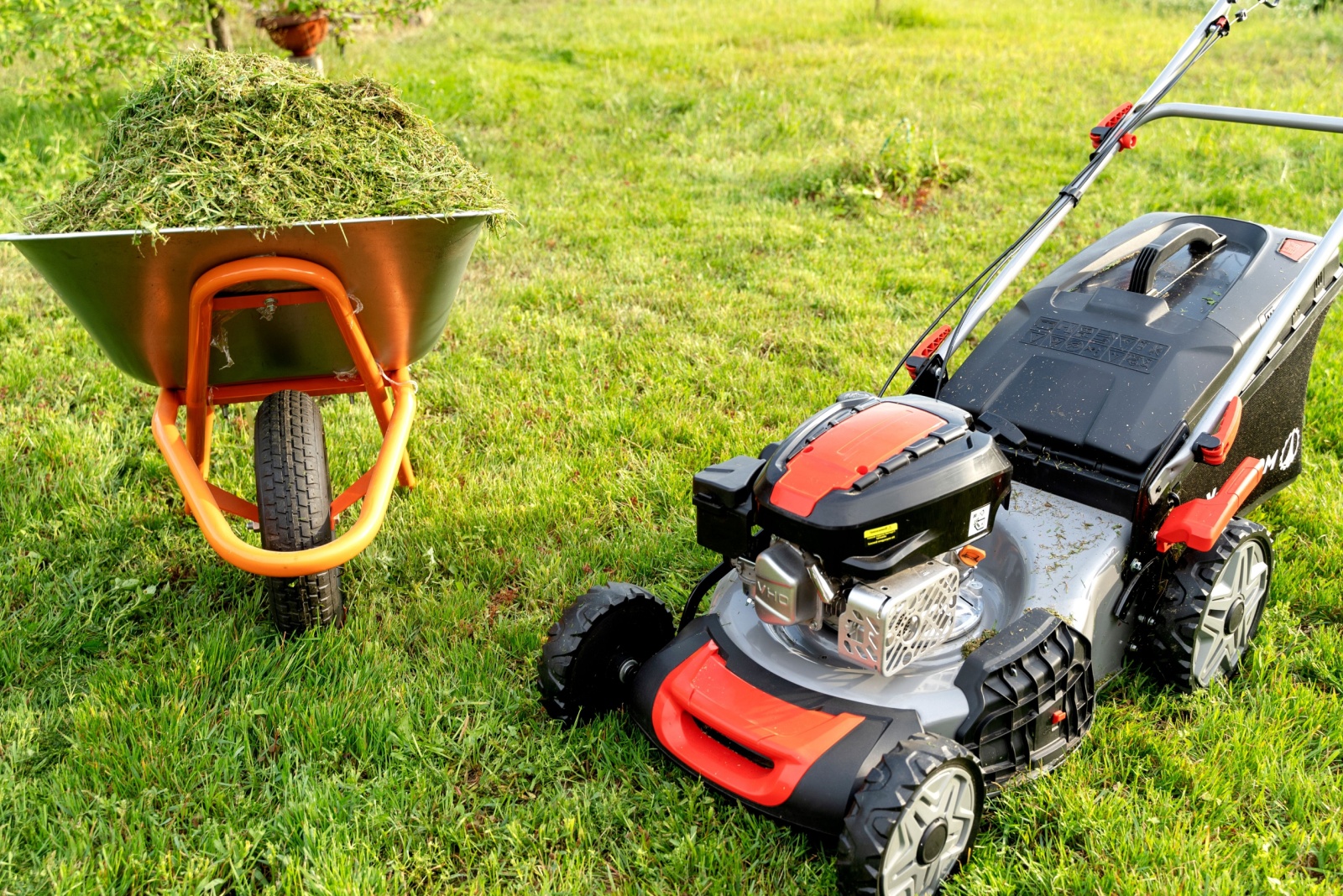 12 October Lawn Mowing Rules Every Florida Homeowner Should Follow