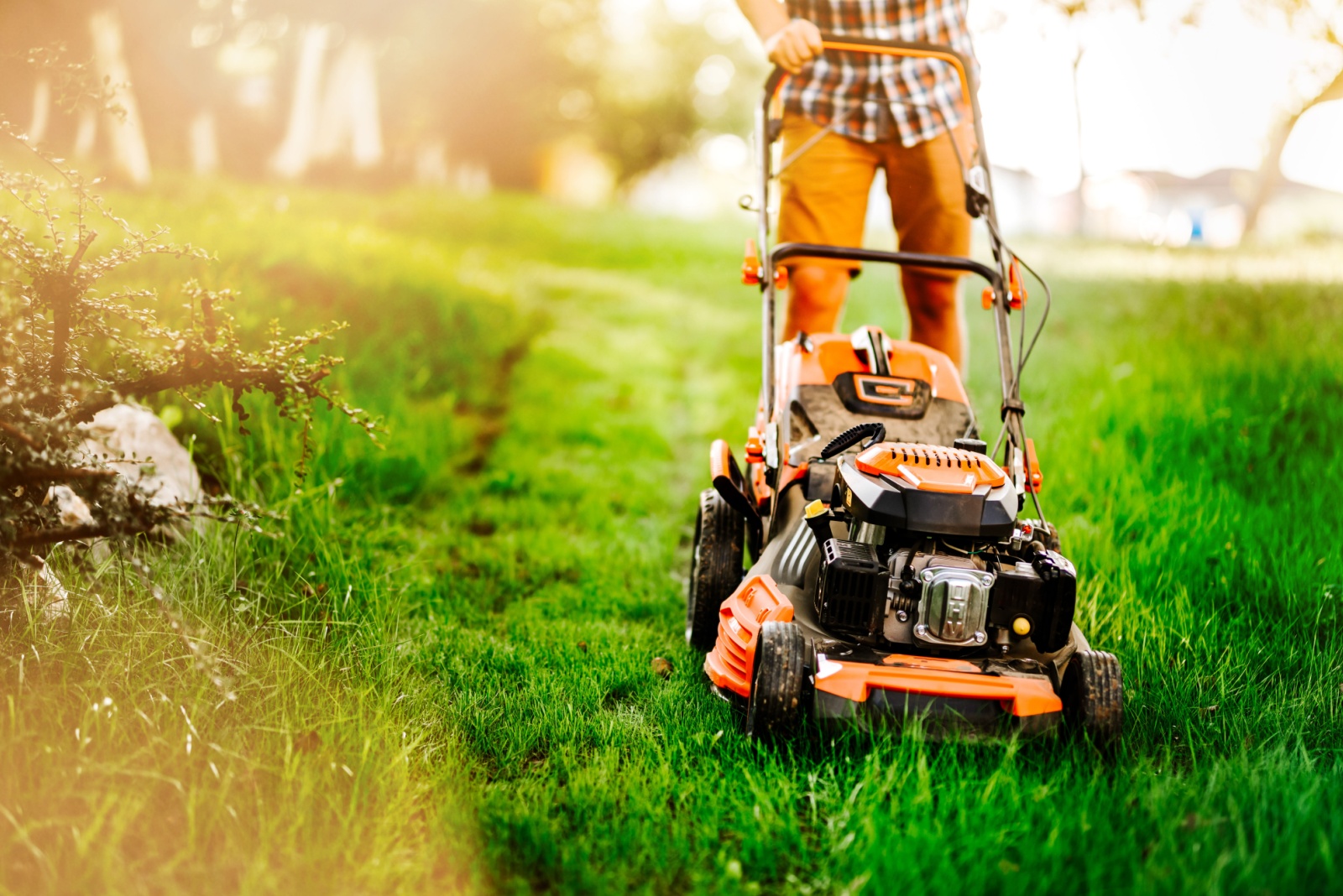 12 October Lawn Mowing Rules Every Indiana Homeowner Should Follow