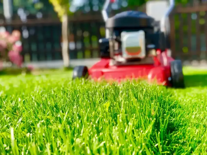 Adjust Your Mower Height Gradually