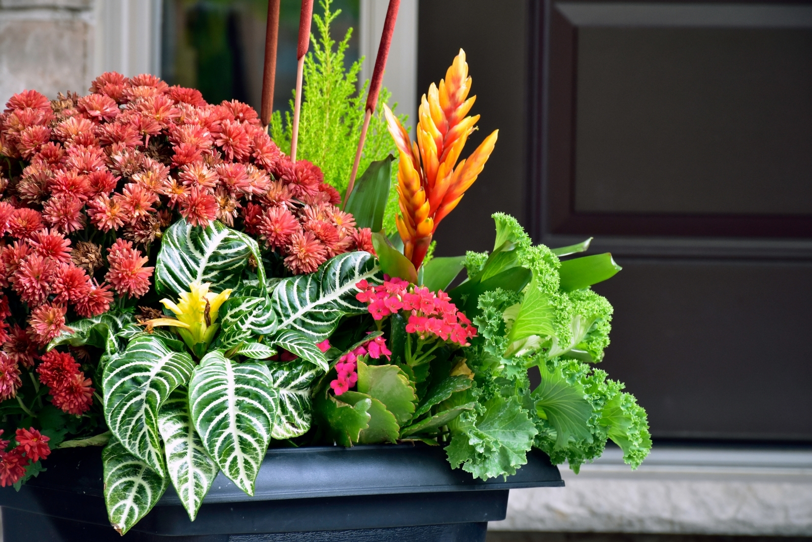 12 Stunning Fall Container Garden Ideas For Illinois Yards