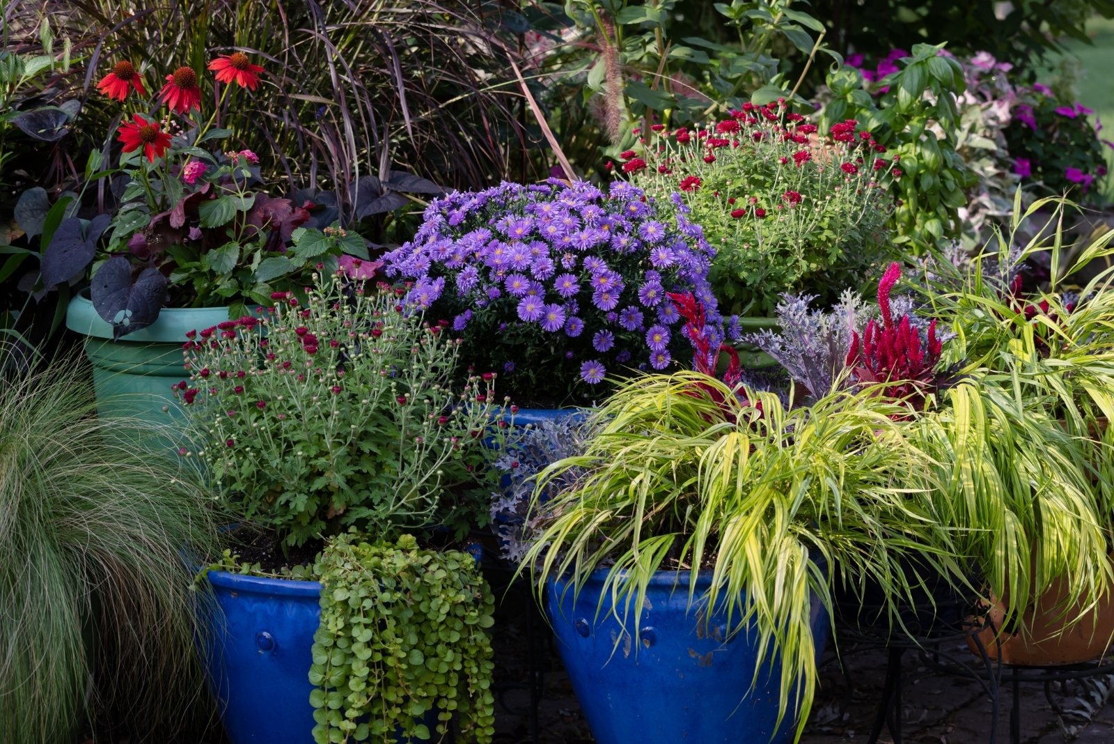 12 Stunning October Container Plant Ideas For Pennsylvania