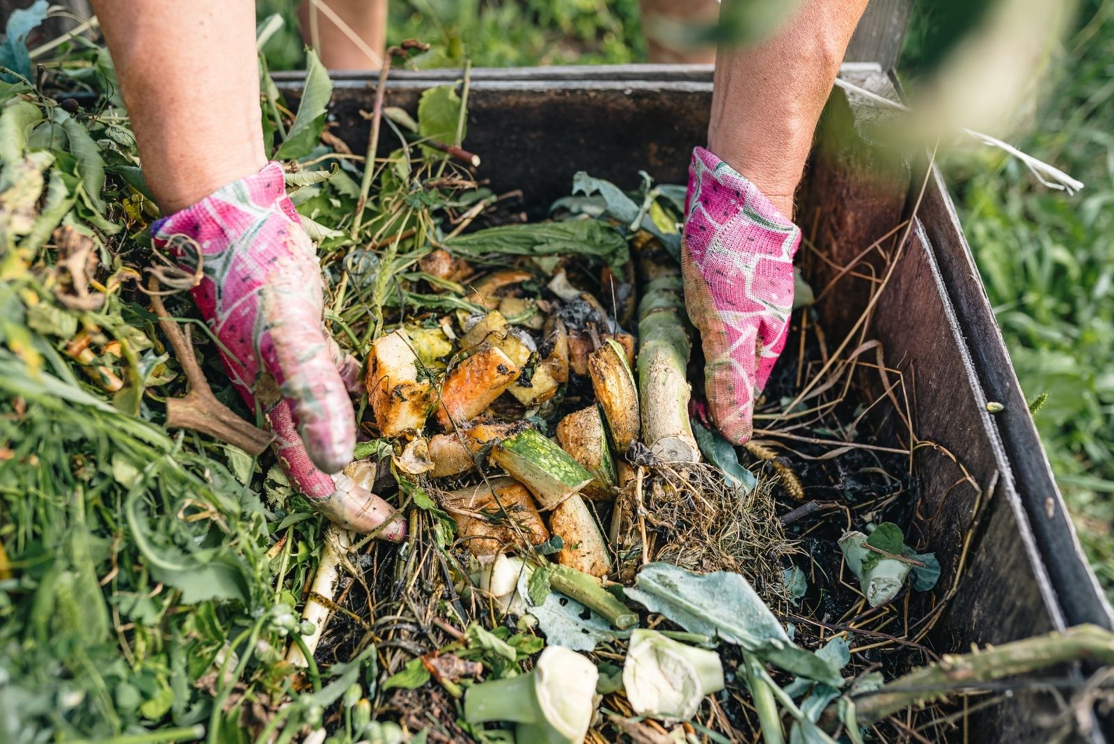 12 Tasks Arizona Gardeners Should Check Off Their October To-Do List