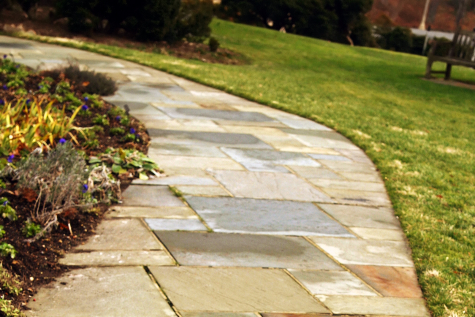 13 Beautiful Pathway Ideas To Transform Your Florida Garden