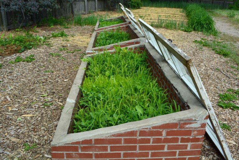 Cold Frame