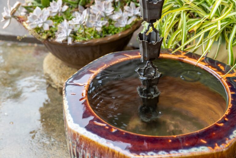 backyard (featured image)