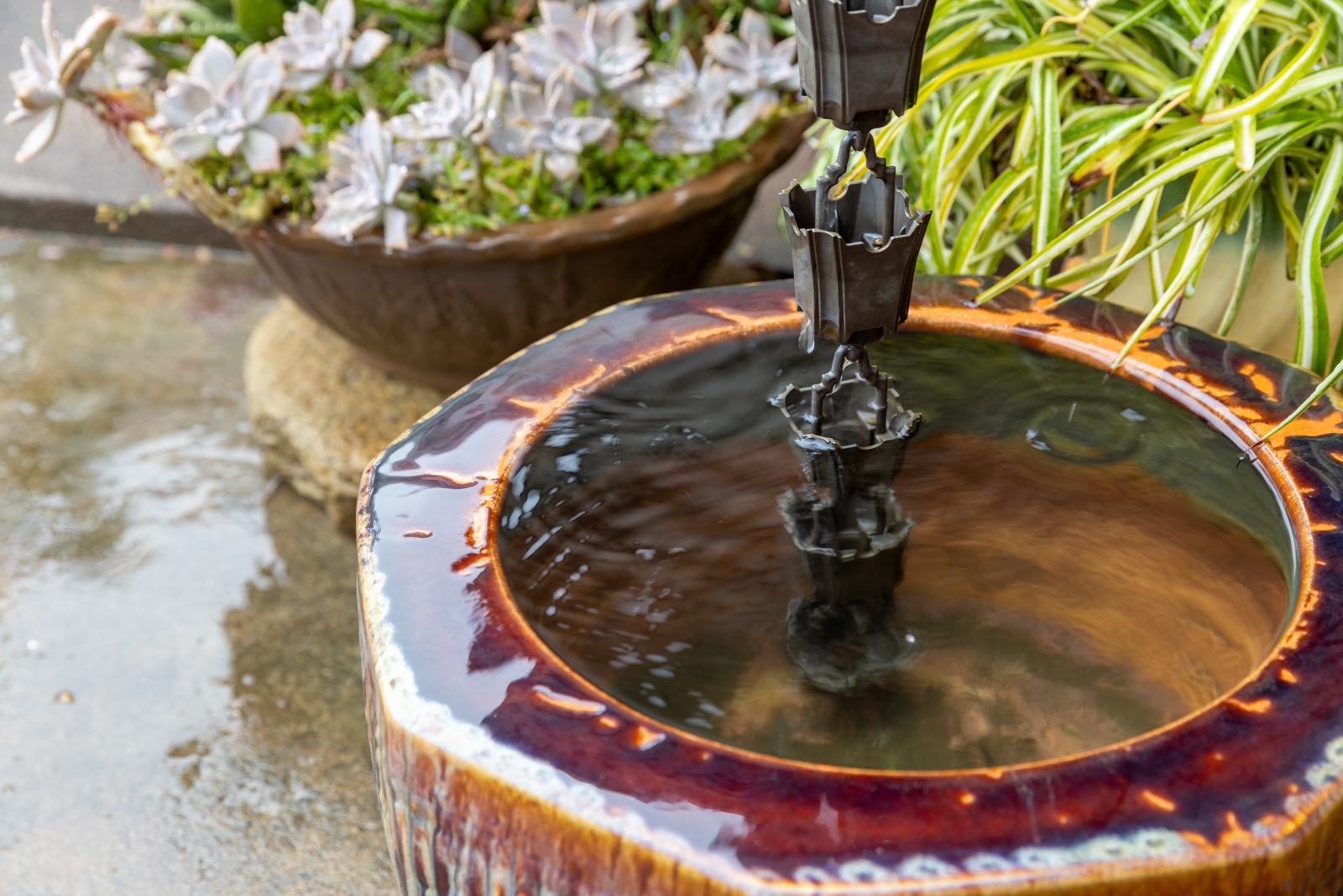 7 DIY Ideas To Hide Downspouts Naturally In Georgia Gardens