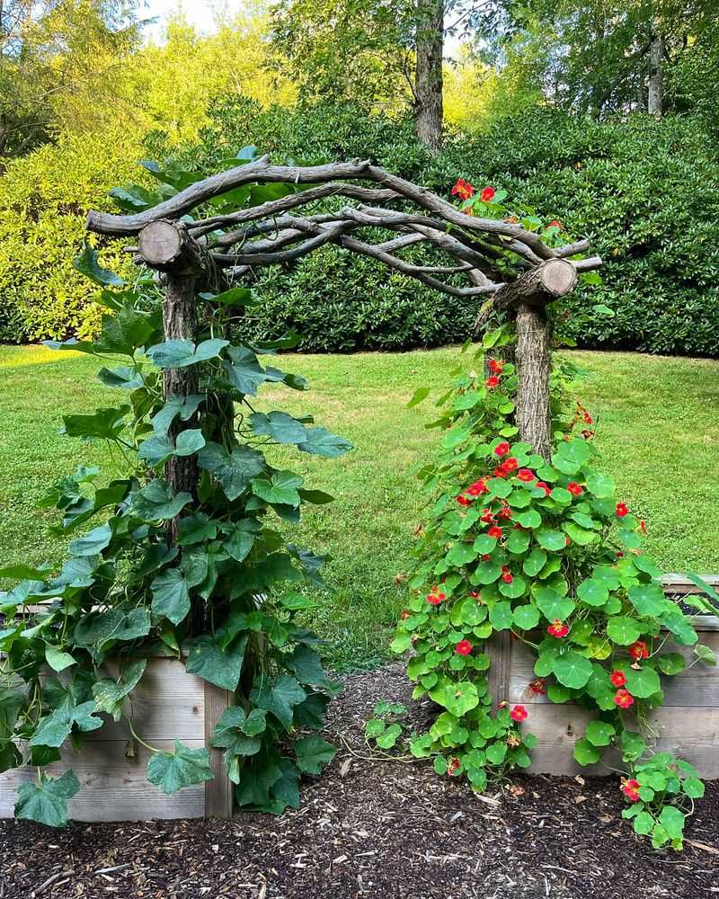 Create a Vertical Garden Wall