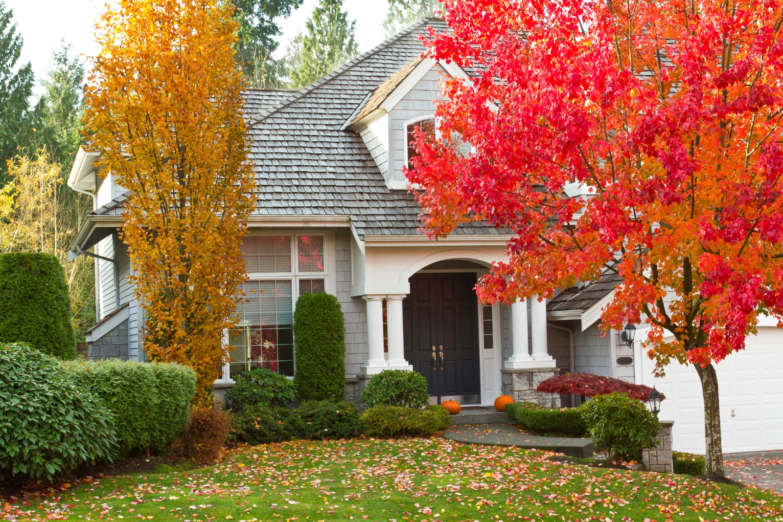 7 Fall Landscaping Myths Texas Homeowners Should Stop Believing
