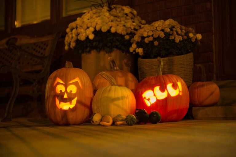 Pumpkin and mums (featured image)