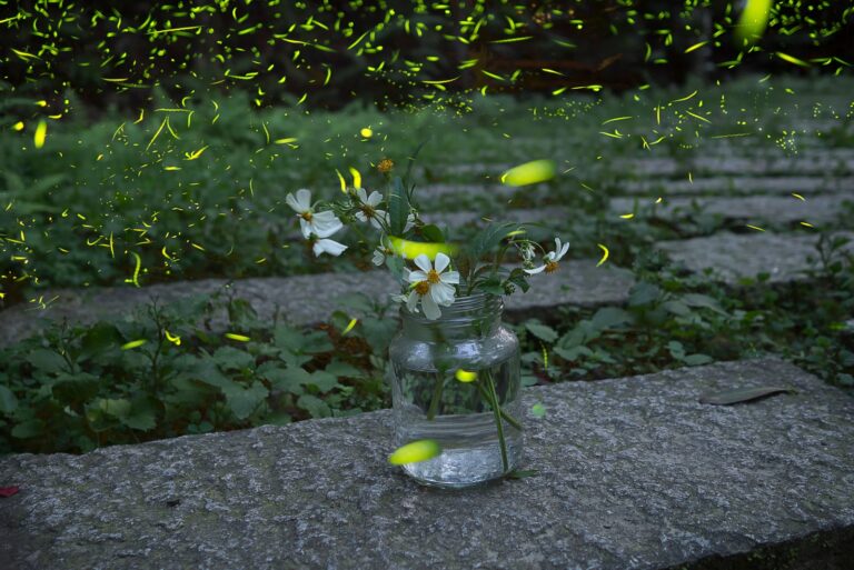 the Firefly and white flower
