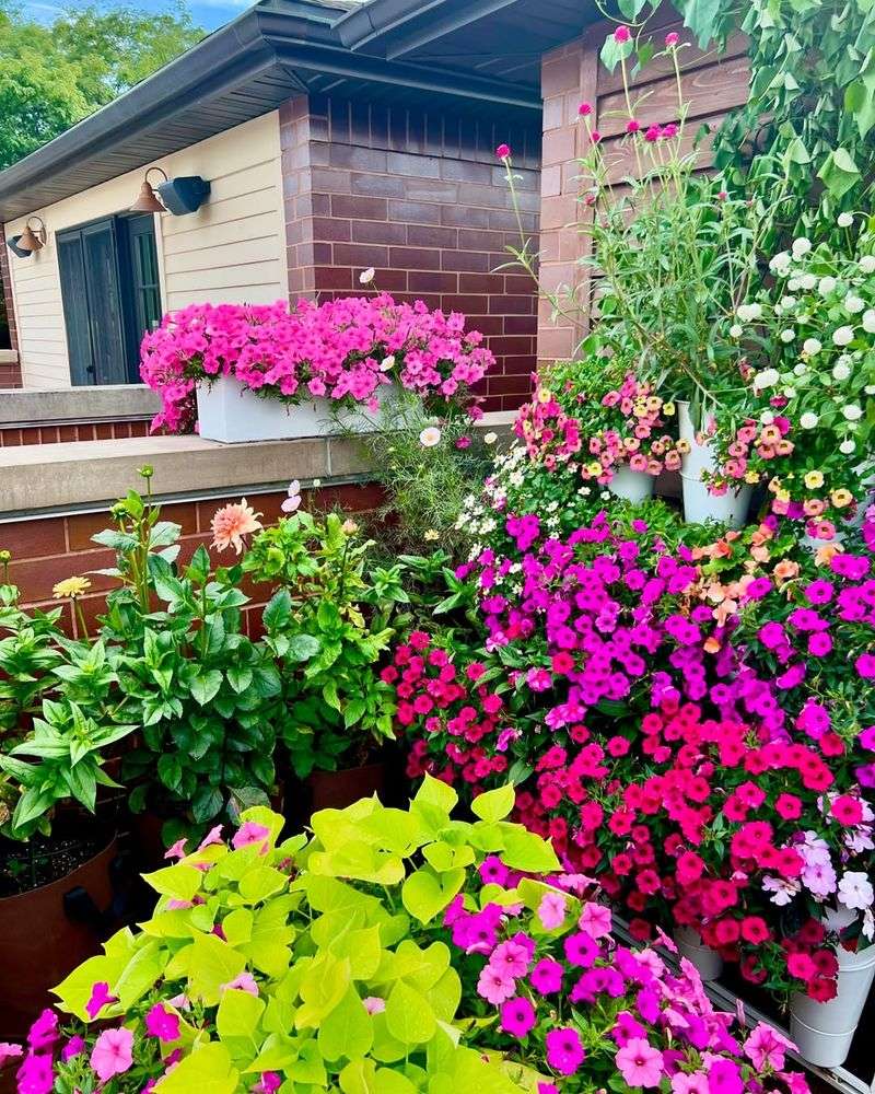 Vibrant Colors That Pop Against New England Architecture