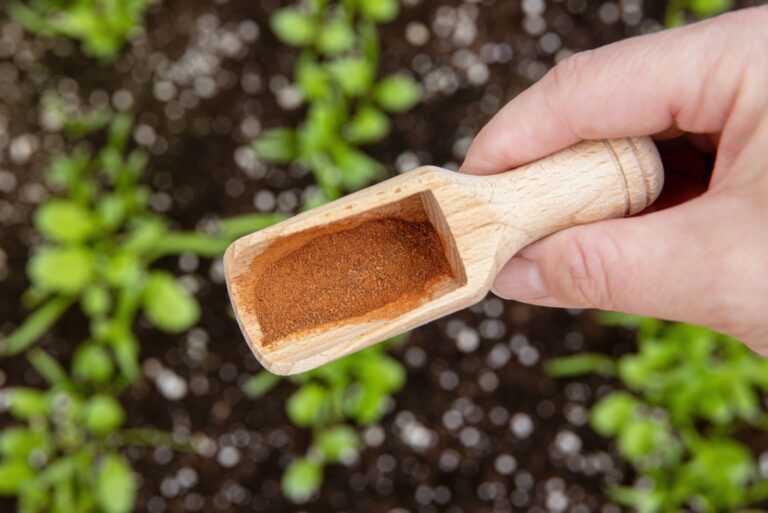 Using cinnamon powder in garden