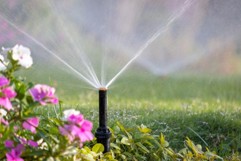 watering lawn (featured image)