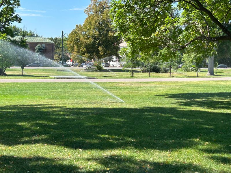 Morning Watering Wastes Precious Water Resources