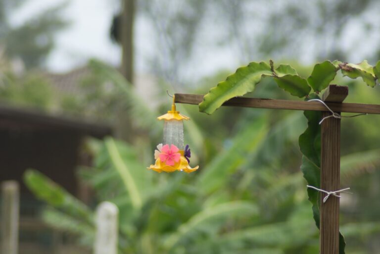 hummingbird feeder in the garden