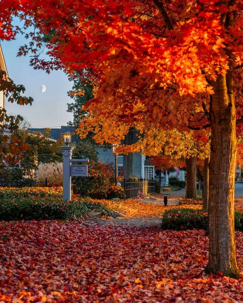 Leaves Start Changing Color