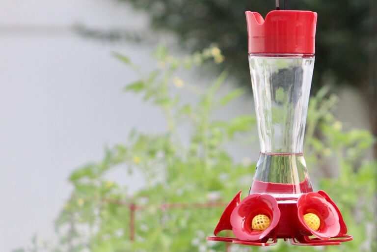 A close up view of a hanging, empty, hummingbird, tube feeder