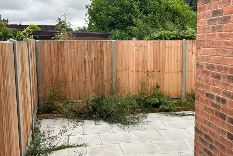 Weeds growing in garden boarder