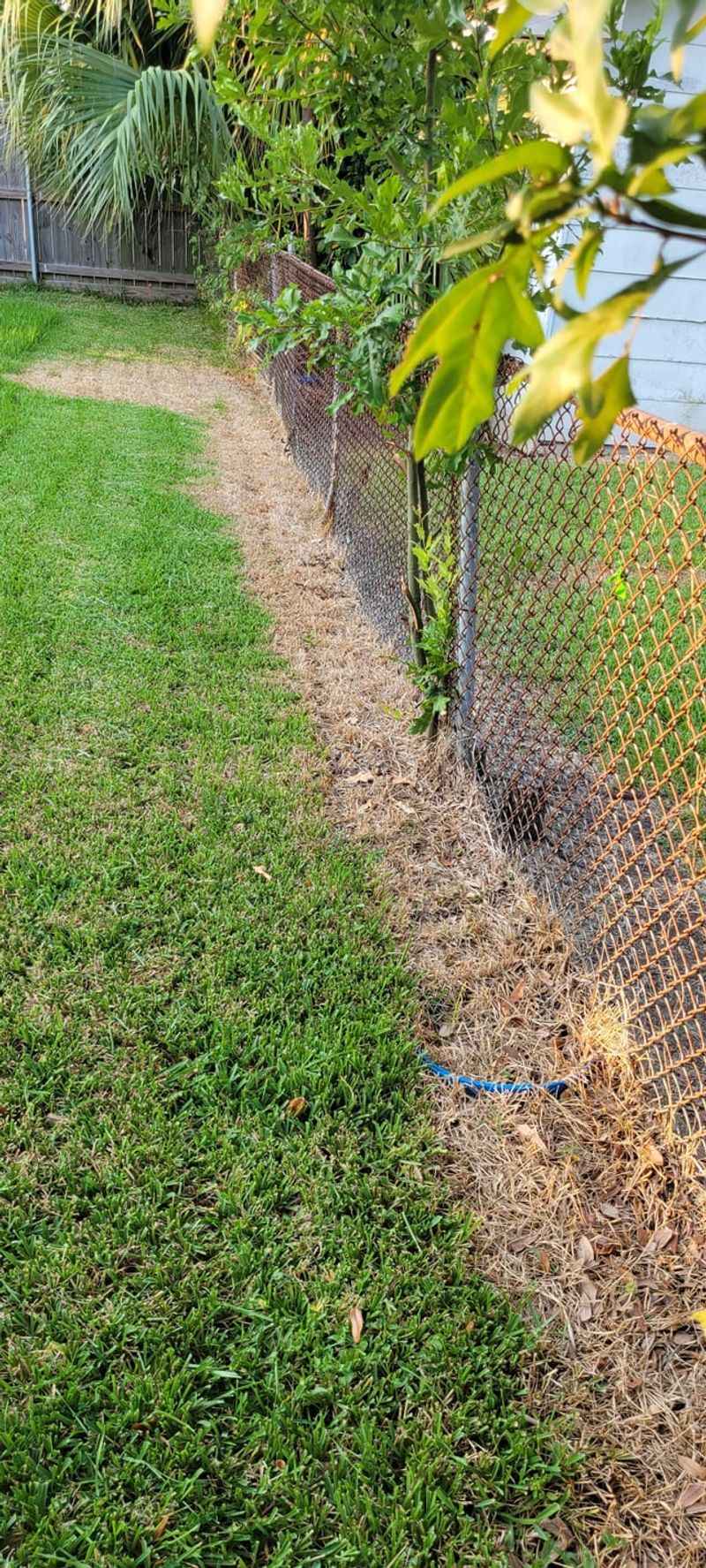Start With A Friendly Chat Over The Fence