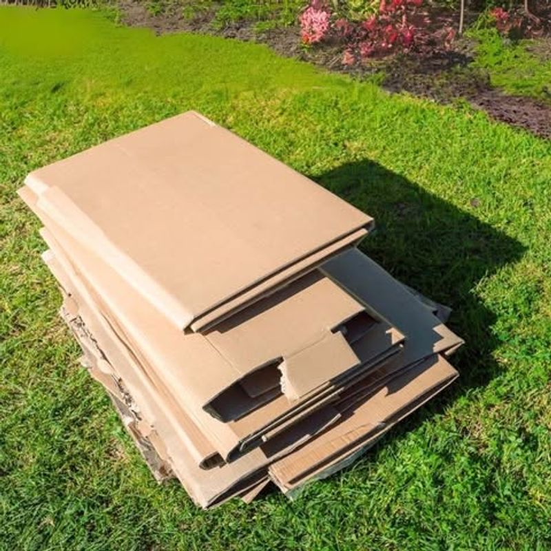 Layer Under Mulch For Long-Lasting Protection