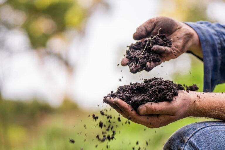 Holding soil in a hand