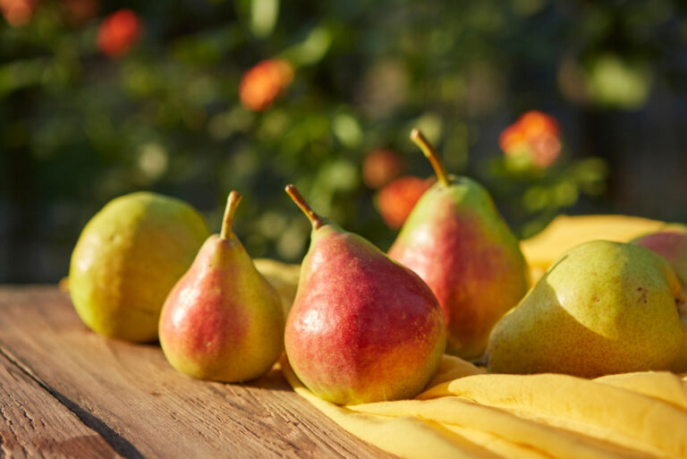 pears (featured image)