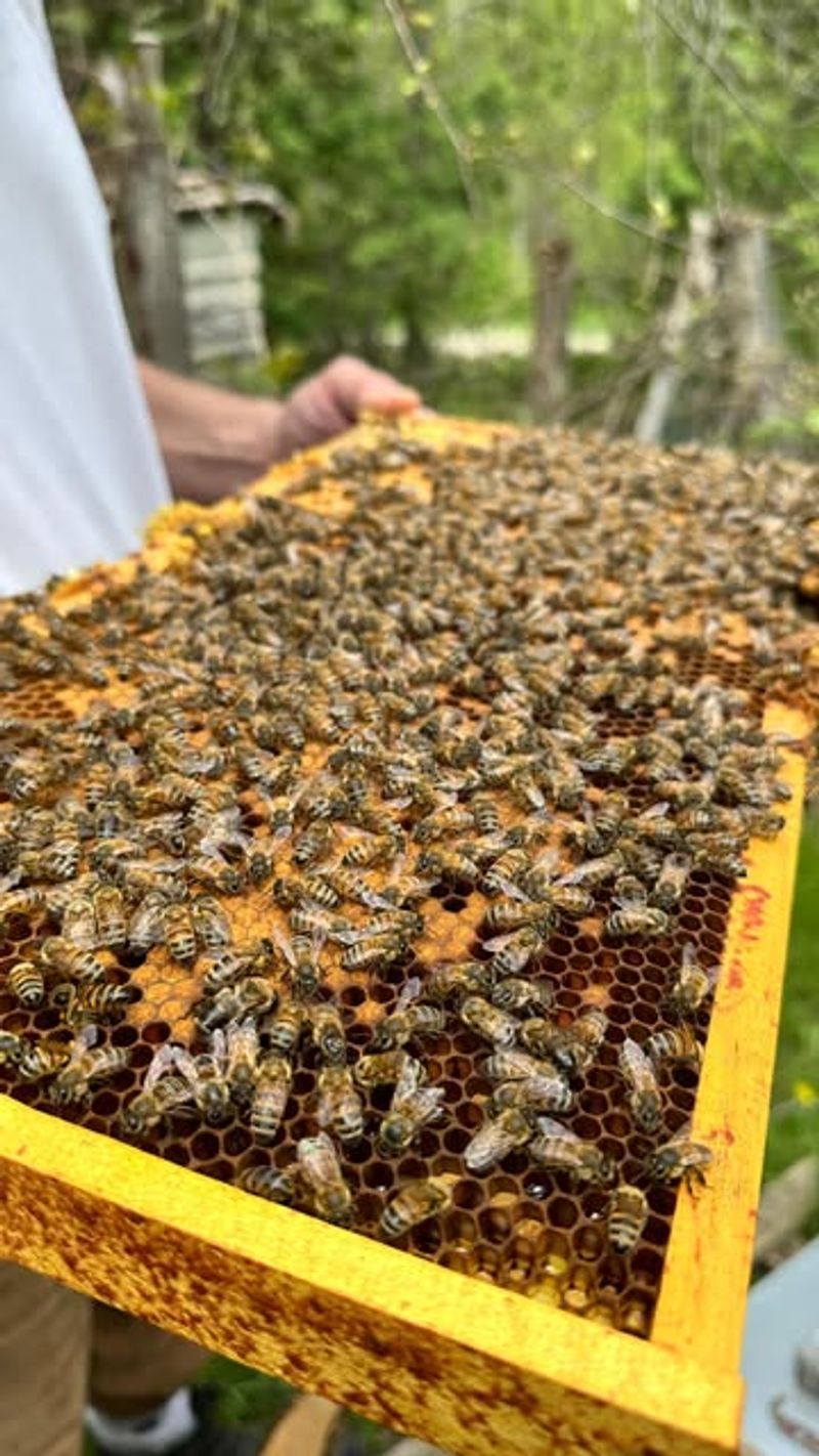 Pesticide Use on Farms and Gardens