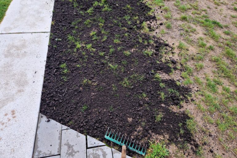 repair of damaged lawns after installation