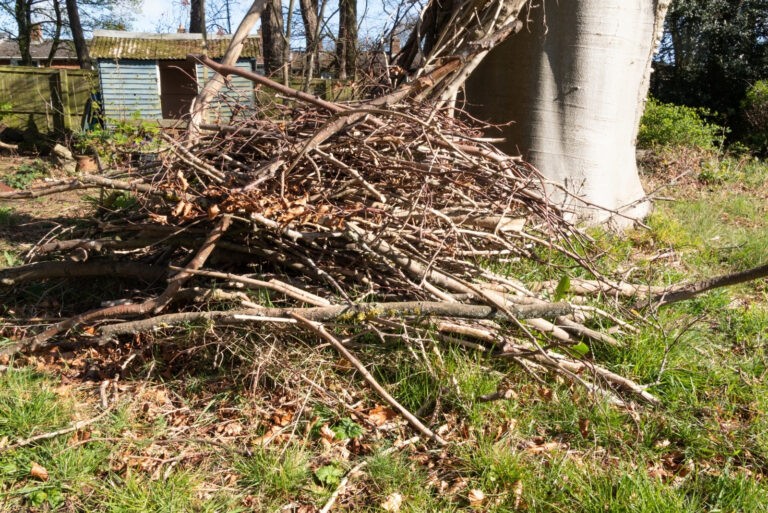 Brush Shelter (featured image)