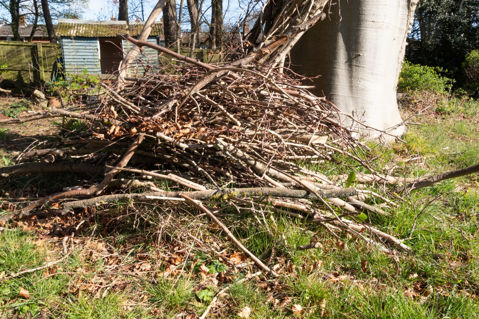 8 Creative Brush Shelter Ideas For Wildlife Survival In Virginia