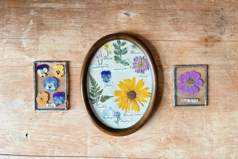 Assorted Flowers Preserved