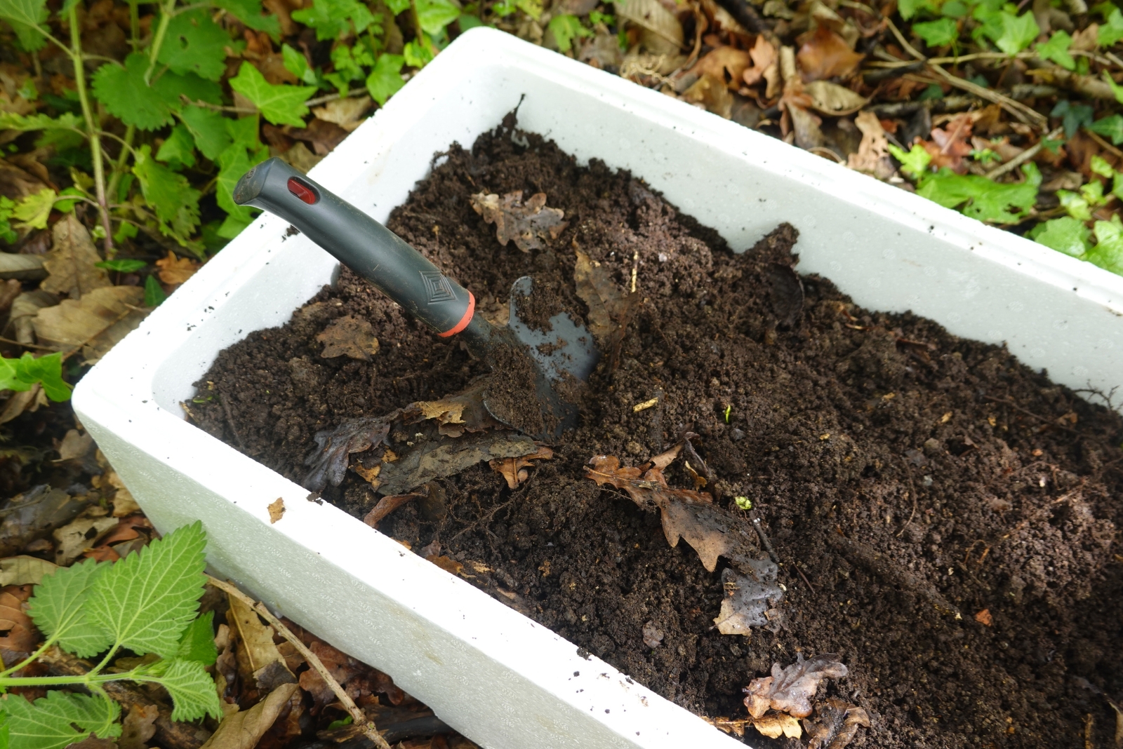 8 Easy Steps To Make And Apply Leaf Mold In Florida Gardens