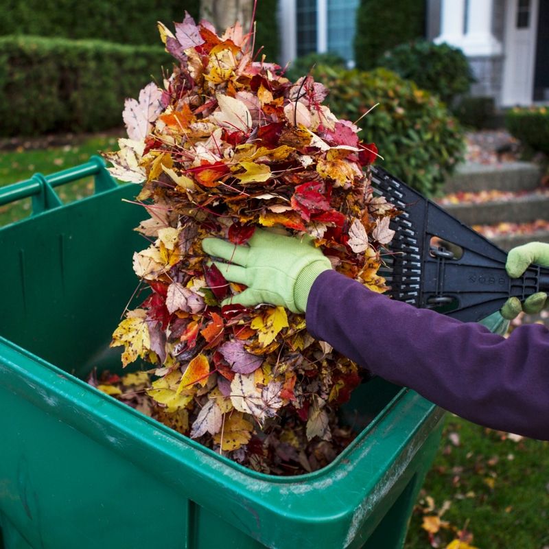 Clear Out Fallen Leaves