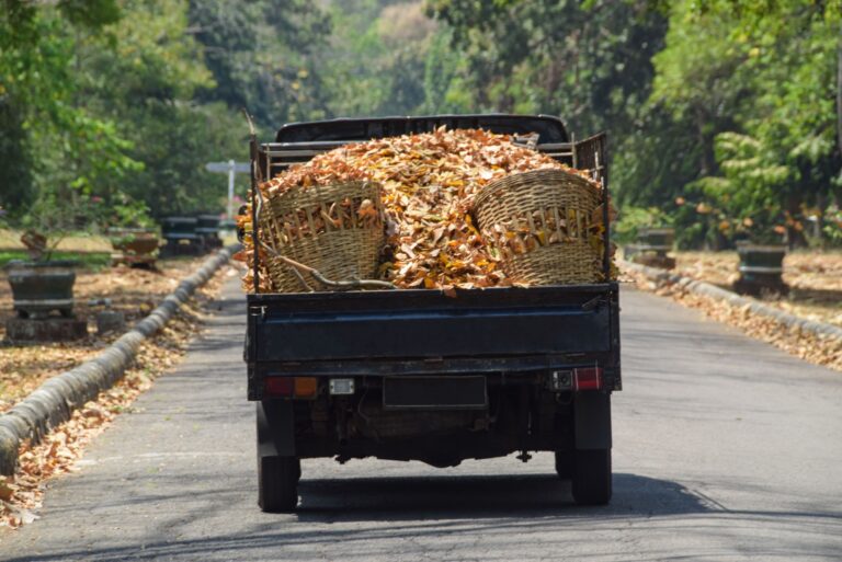 Leaf litter truck