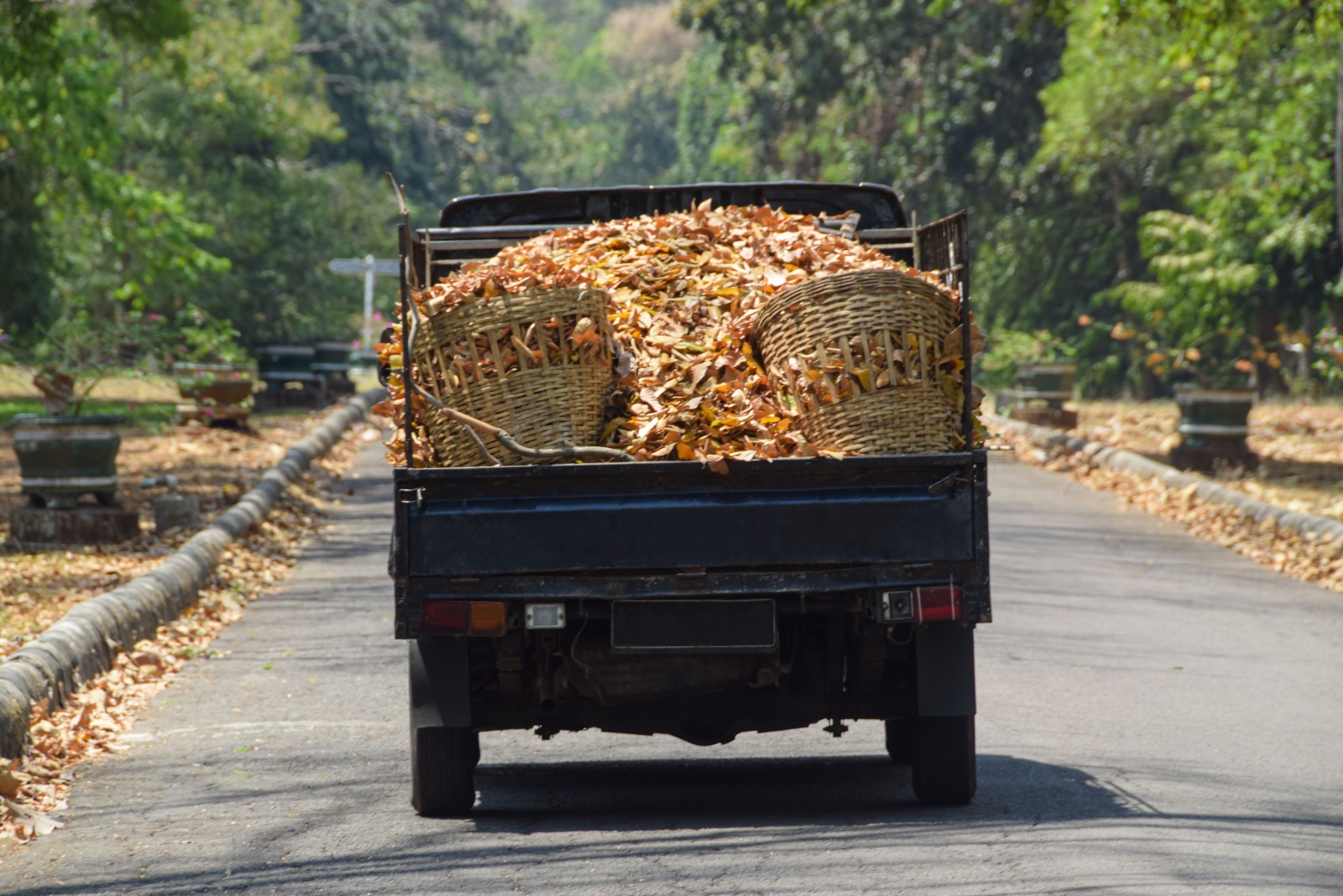 8 Environmentally Friendly Ways To Remove Fall Leaves In Vermont