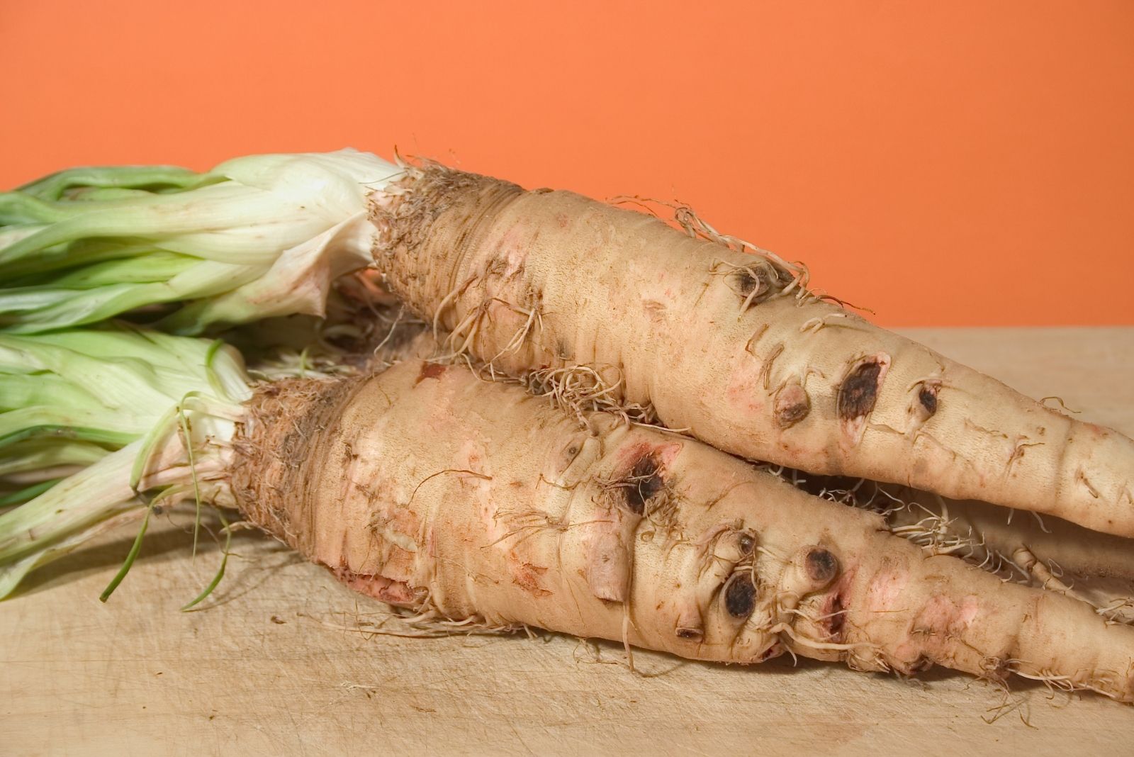 8 Forgotten Vegetables Georgia Gardeners Should Bring Back This Fall