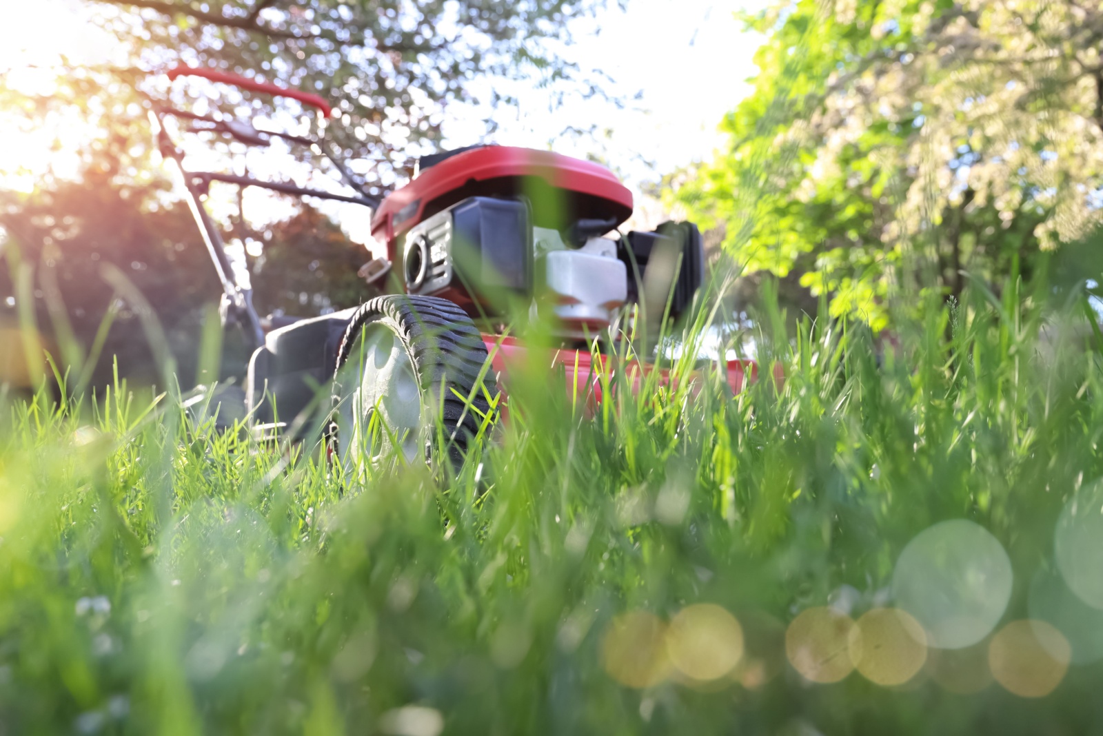 8 Key October Lawn Mowing Rules Every Colorado Homeowner Should Follow