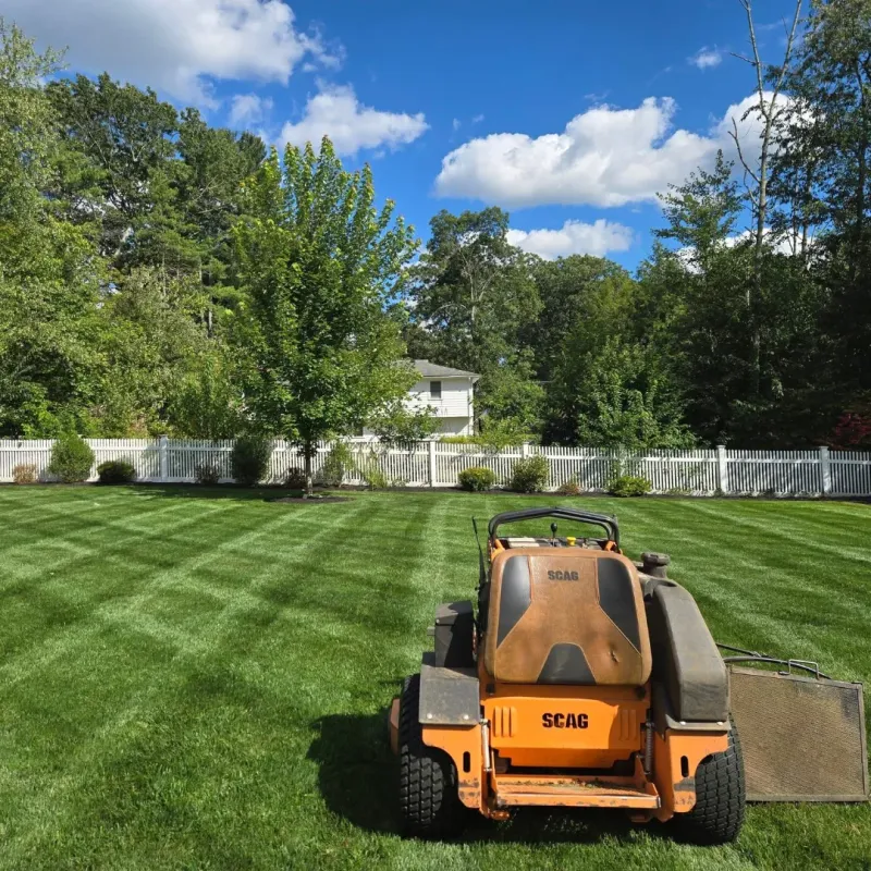 Raise Your Mower Blade Height Gradually