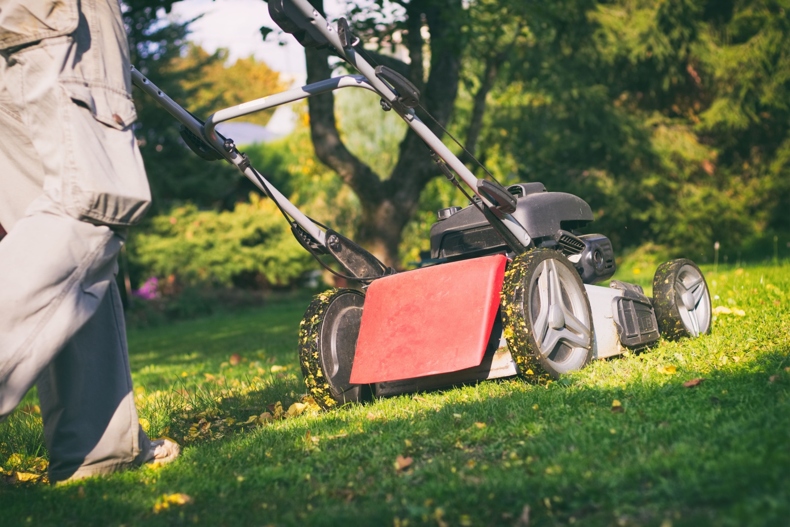 8 Key October Lawn Mowing Rules Every Texas Homeowner Should Follow